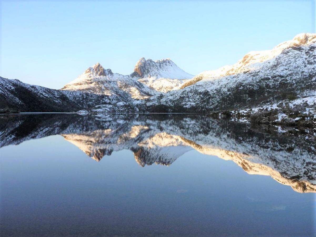 Cradle Alpine Retreat Bed and Breakfast Moina Eksteriør billede